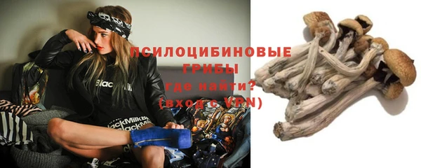 ALPHA-PVP Армянск
