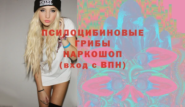 прущий лед Аркадак