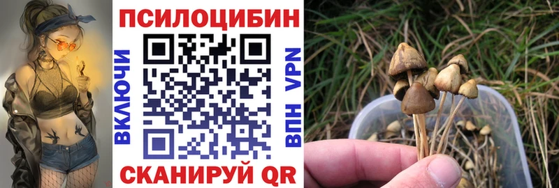 Галлюциногенные грибы мухоморы  Чудово 